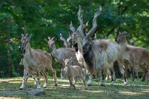 Wildlife Conservation Society’s favourite pictures of 2016 Wildlife Conservation Society’s favourite pictures of 2016