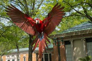 Wildlife Conservation Society’s favourite pictures of 2016 Wildlife Conservation Society’s favourite pictures of 2016