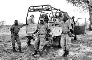 Wildlife Conservation Society’s favourite pictures of 2016 Wildlife Conservation Society’s favourite pictures of 2016