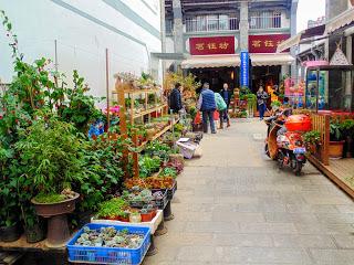 Kunming, China: City of Flowers