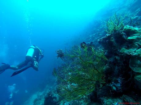 Looking Back to a Heartwarming and Adventure-Filled 2016 MyBlueArth
