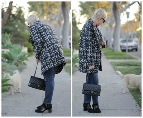 Tweed And Pearls, My Way saying hello to Lars the cat
