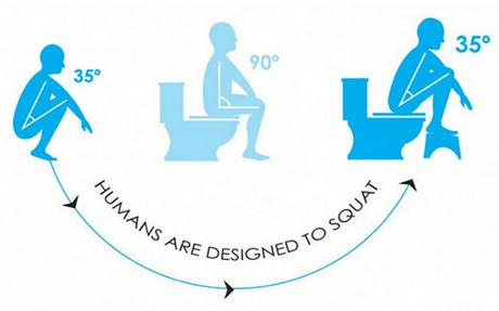 Humans are designed to squat