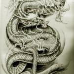 Oriental Dragon Tattoo Style 9 150x150 Awesome But Weird Oriental Dragon Tattoo Designs