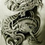 Oriental Dragon Tattoo Style 7 150x150 Awesome But Weird Oriental Dragon Tattoo Designs