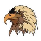 The Ultimate Eagle Tattoo Designs 7 The Ultimate Eagle Tattoo Designs Collection