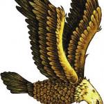 The Ultimate Eagle Tattoo Designs 25 150x150 The Ultimate Eagle Tattoo Designs Collection