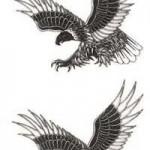 The Ultimate Eagle Tattoo Designs 35 150x150 The Ultimate Eagle Tattoo Designs Collection