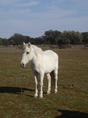 The Bloggers Get Together (1º Edition) The Bloggers Get Together (1º Edition)