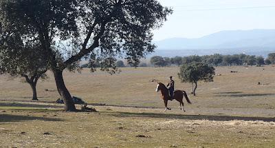 The Bloggers Get Together (1º Edition) The Bloggers Get Together (1º Edition)