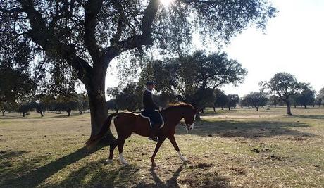 The Bloggers Get Together (1º Edition) The Bloggers Get Together (1º Edition)