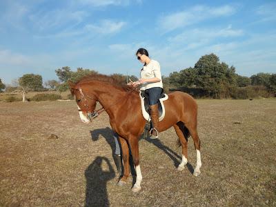 The Bloggers Get Together (1º Edition) The Bloggers Get Together (1º Edition)