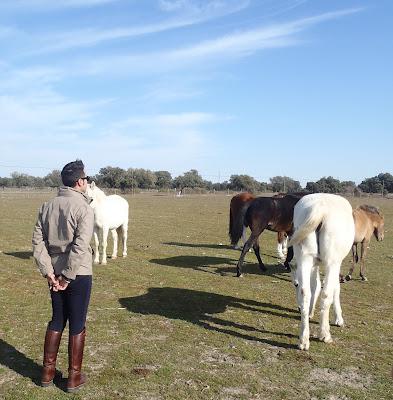 The Bloggers Get Together (1º Edition) The Bloggers Get Together (1º Edition)