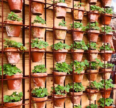 Sustainable dining? Or taking the piss? Greenhouse by Joost Sustainable dining? Or taking the piss? Greenhouse by Joost