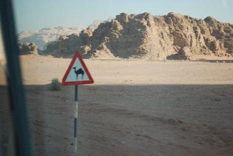 Pulled Over by a Cop in Wadi Rum Desert