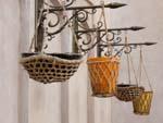 Hanging pot in baskets