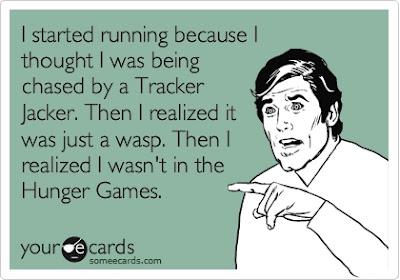 Everything Hunger Games! Everything Hunger Games!