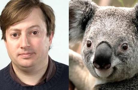 Sure, Benedict Cumberbatch does look awfully like an otter but David Mitchell Is A Koala