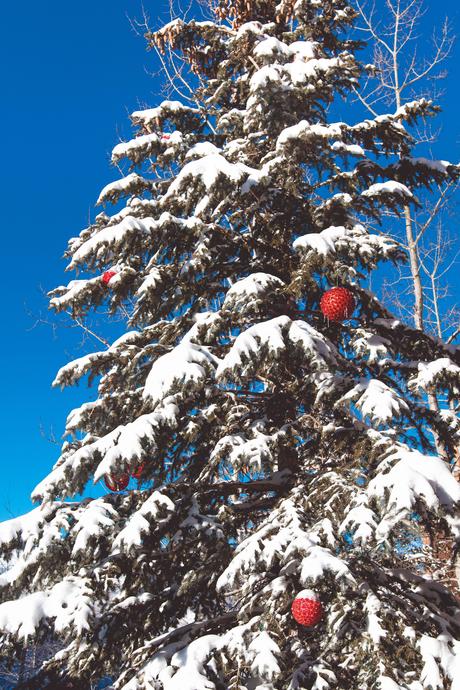 Christmas in Park City utah-11