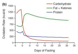 Fasting and Exercise