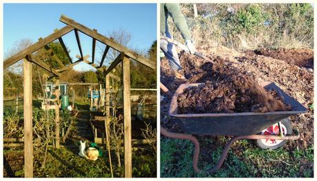 Two Allotment Afternoons