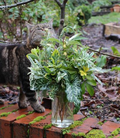 In A Vase on Monday – Evergreens
