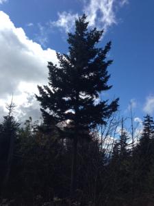 Financial Options for Paying for Retirement Financial Options for Paying for Retirement