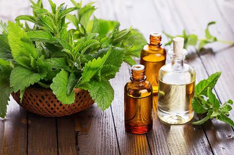 Basil Oil for Hair basil leaves and oil