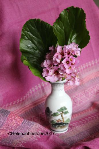 In a vase on Monday: Pretty in Pink