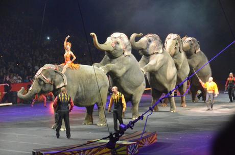The Greatest Show on Earth is Coming to an End?! WTH Ringling Bros?