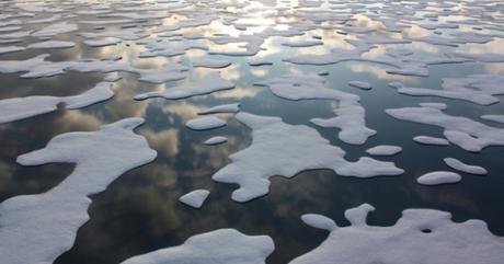 Warm Air Invades Arctic Again, Slowing Sea Ice Growth