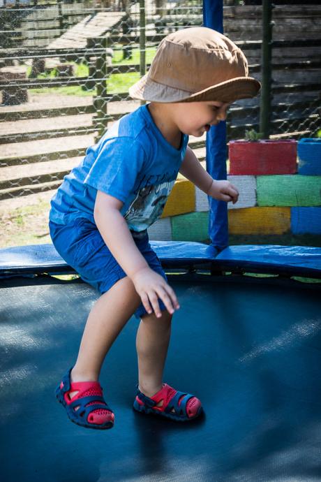 Feeding the animals homeleigh-2