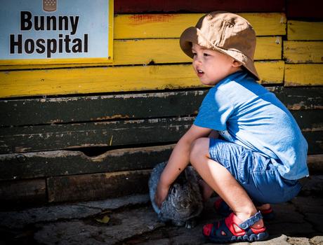 Feeding the animals homeleigh-7