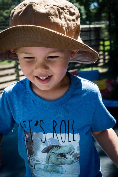 Feeding the animals homeleigh