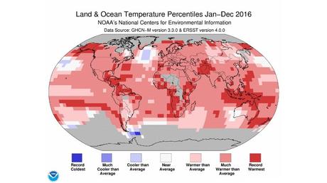 2016 Was The Hottest Year on Record