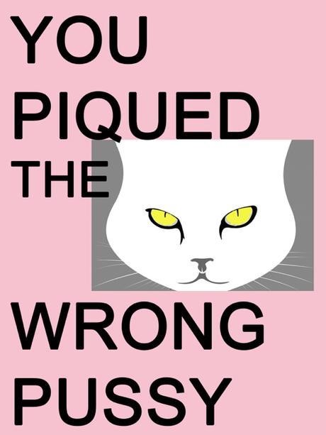You Piqued The Wrong Pussy Women's March Poster
