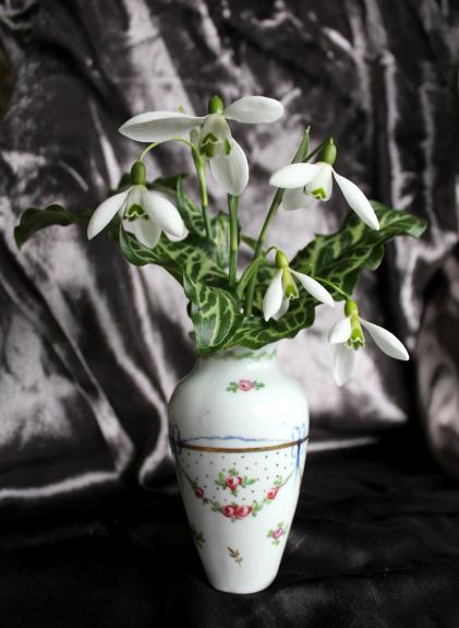 In A Vase on Monday – Snowdrops