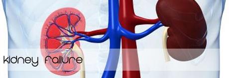 How to avoid kidney transplant and avoid dialysis