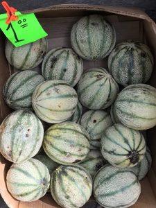 Striped Melons