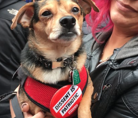 Woof For Equality Woof For Equality