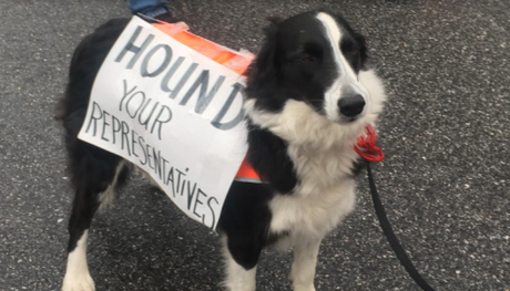 Woof For Equality Woof For Equality
