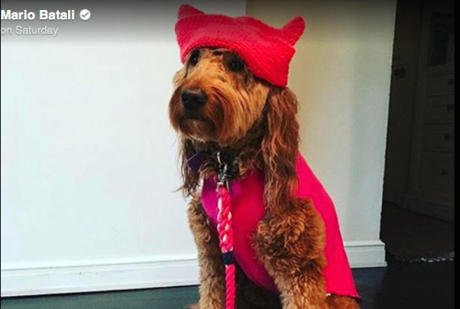 Woof For Equality Woof For Equality