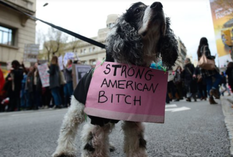 Woof For Equality Woof For Equality