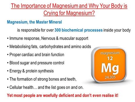 Zenith Nutrition Magnesium Citrate Capsules Review