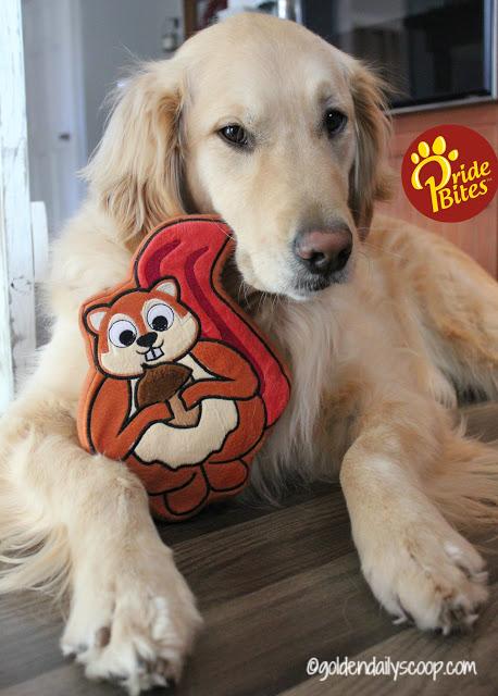 PrideBites PAWtner Excitement pridebites customized dog toys and accessories