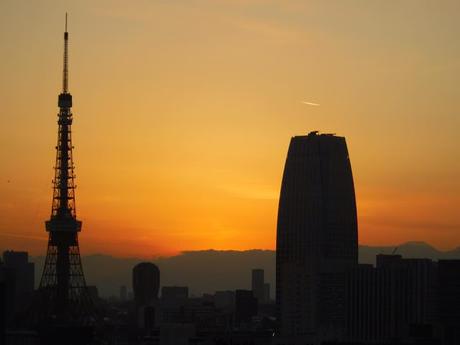 Tokyo 2016 - Part II pink swans and skyscrapers.