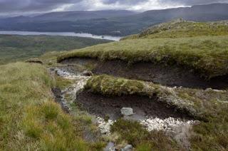 £8 million for peatland restoration projects is a welcome investment