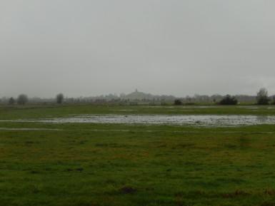 #Walk1000Miles – January 2017 #Walk1000Miles – January 2017