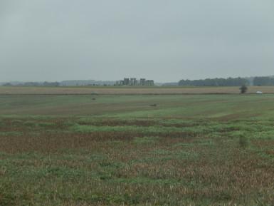 #Walk1000Miles – January 2017 #Walk1000Miles – January 2017