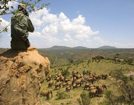 Armed herders invade Kenya’s most important wildlife conservancy